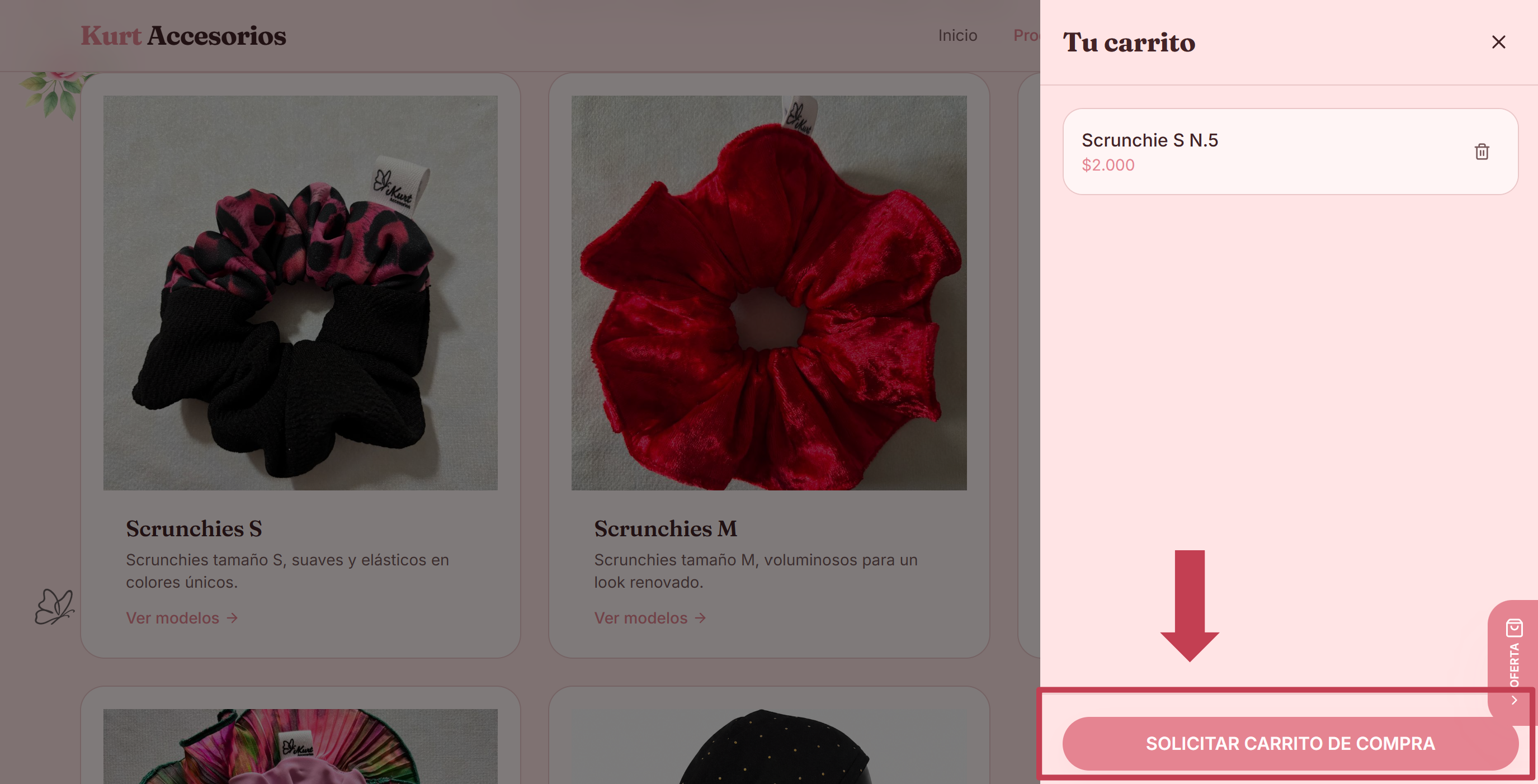 Paso 6 — Envía tu solicitud.